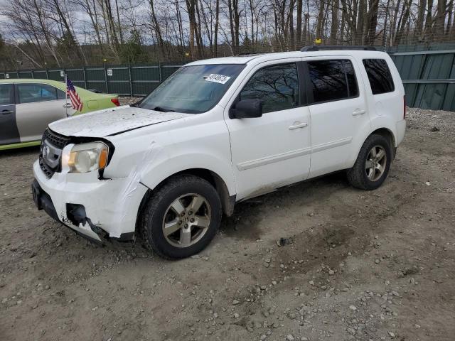 HONDA PILOT EXL 2010 with VIN 5FNYF4H50AB028859 - Photo from auction