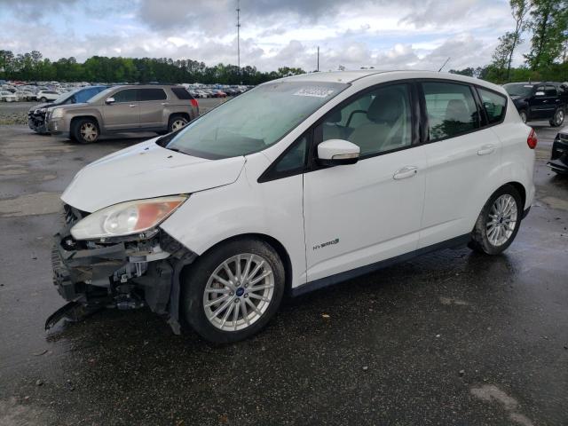 FORD C-MAX SE 2014 with VIN 1FADP5AU4EL519785 - Photo from auction