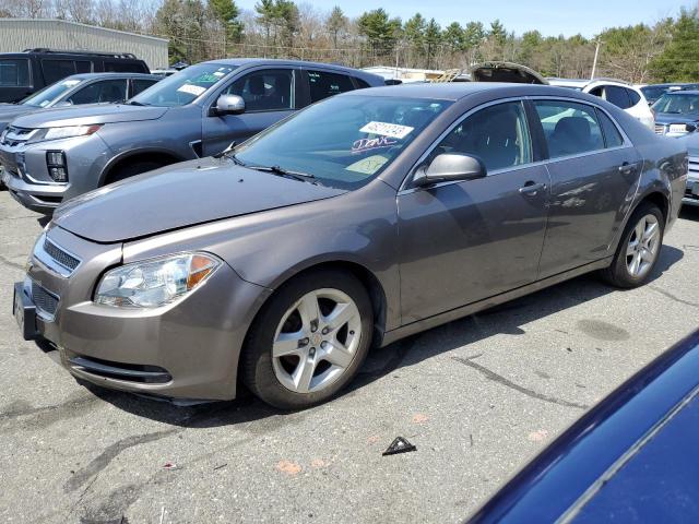 CHEVROLET MALIBU LS 2011 with VIN 1G1ZB5E13BF206258 - Photo from auction