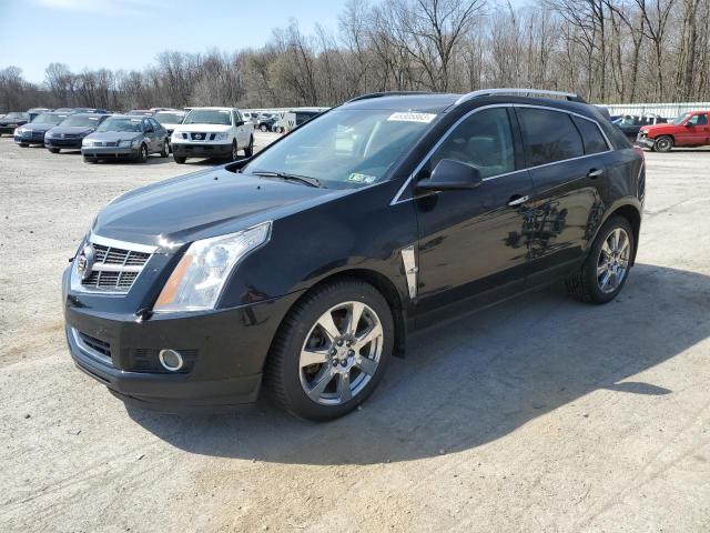 CADILLAC SRX PERFOR 2012 with VIN 3GYFNEE37CS559015 - Photo from auction