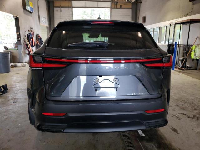 Photo 6 from auction – 2023 LEXUS NX 250 with VIN 2T2GDCAZXPC003615