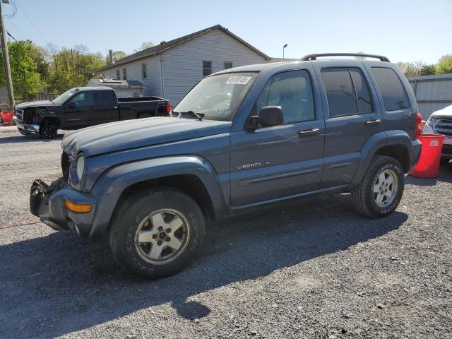 Photo 1 from auction – 2002 JEEP LIBERTY LI with VIN 1J8GL58K02W183899