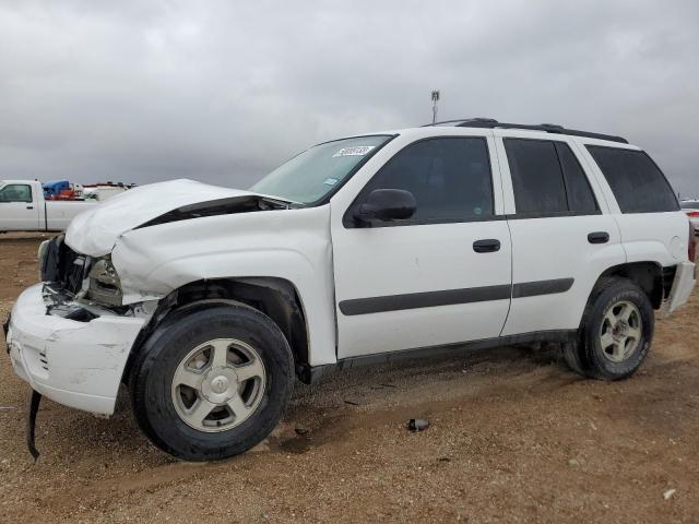 CHEVROLET TRAILBLAZE 2005 with VIN 1GNDT13S952307021 - Photo from auction