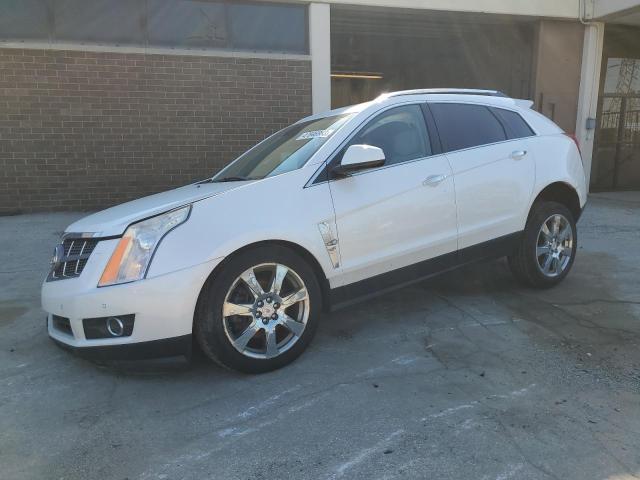 CADILLAC SRX PREMIU 2010 with VIN 3GYFNCEY7AS619873 - Photo from auction