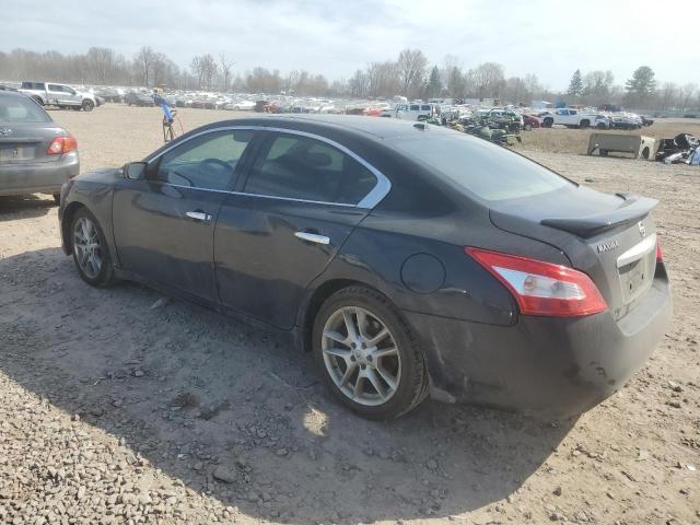 Photo 2 from auction – 2010 NISSAN MAXIMA S with VIN 1N4AA5AP6AC835892
