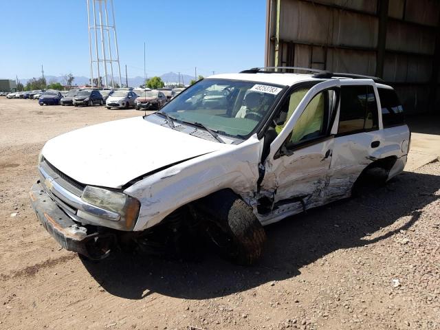 CHEVROLET TRAILBLAZE 2008 with VIN 1GNDS13S282129024 - Photo from auction