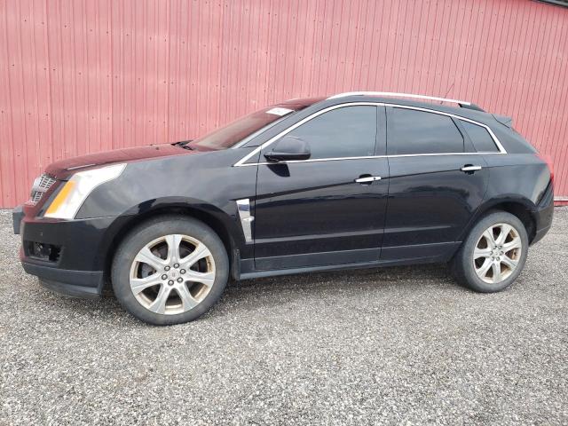 CADILLAC SRX PREMIU 2010 with VIN 3GYFNFEY0AS550512 - Photo from auction