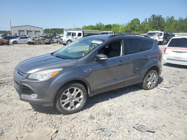 FORD ESCAPE SEL 2013 with VIN 1FMCU0HX4DUB15035 - Photo from auction