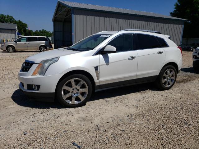 CADILLAC SRX PERFOR 2012 with VIN 3GYFNBE38CS621519 - Photo from auction