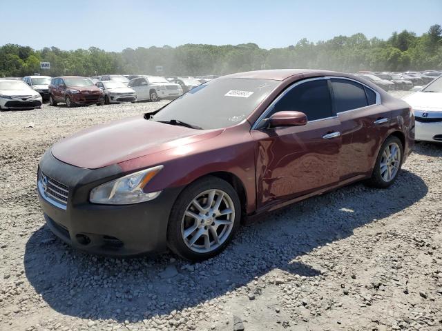 NISSAN MAXIMA S 2010 with VIN 1N4AA5AP0AC817128 - Photo from auction