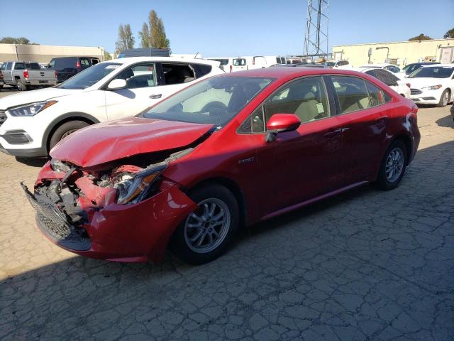 TOYOTA COROLLA LE 2020 with VIN JTDEBRBE9LJ004981 - Photo from auction