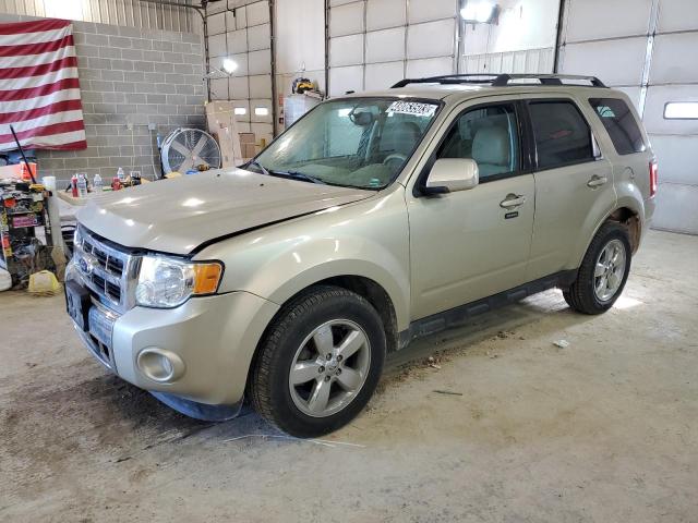 FORD ESCAPE LIM 2011 with VIN 1FMCU0EG6BKA91964 - Photo from auction
