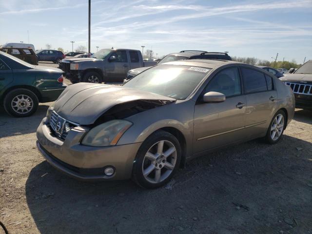 NISSAN MAXIMA SE 2006 with VIN 1N4BA41E86C837115 - Photo from auction