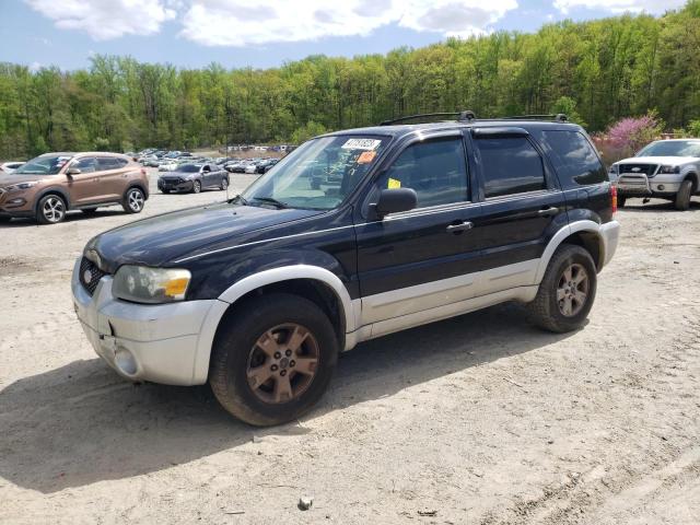 FORD ESCAPE XLT 2007 with VIN 1FMCU93117KB17333 - Photo from auction