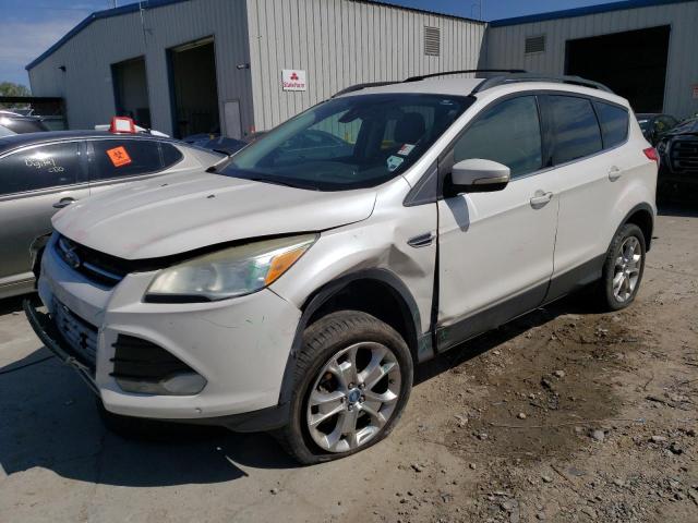 FORD ESCAPE SEL 2013 with VIN 1FMCU0H93DUC19954 - Photo from auction