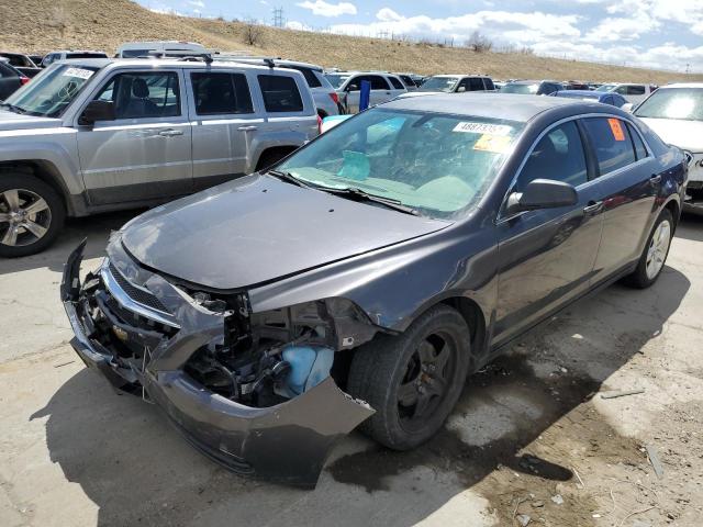 CHEVROLET MALIBU LS 2011 with VIN 1G1ZB5E16BF223314 - Photo from auction