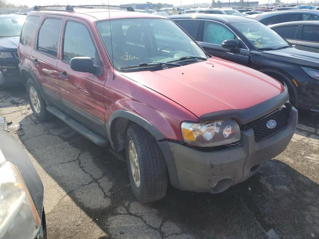 Photo 4 from auction – 2007 FORD ESCAPE XLT with VIN 1FMYU03167KA96478