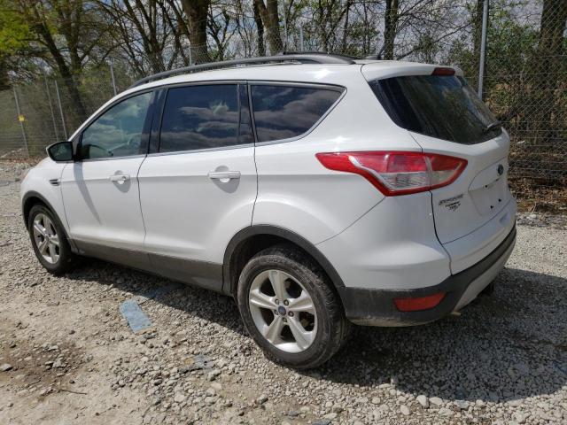 Photo 2 from auction – 2014 FORD ESCAPE SE with VIN 1FMCU0GX8EUD42053