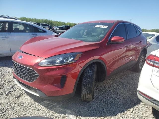 FORD ESCAPE SE 2021 with VIN 1FMCU0G64MUA02016 - Photo from auction