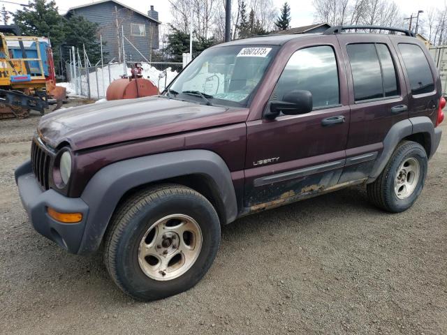 JEEP LIBERTY SP 2004 with VIN 1J4GL48K74W134357 - Photo from auction