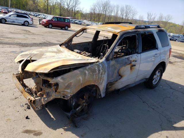 FORD ESCAPE LIM 2009 with VIN 1FMCU94G09KC56486 - Photo from auction