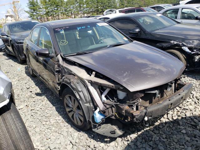 Photo 4 from auction – 2011 HONDA ACCORD EXL with VIN 1HGCP2F87BA023680