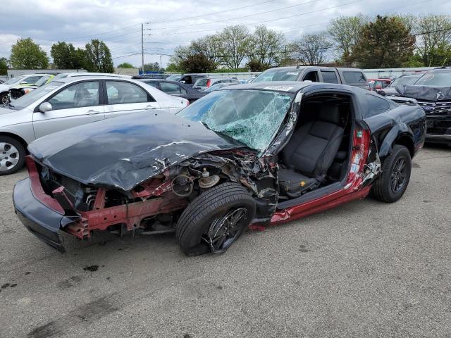 Photo 1 from auction – 2005 FORD MUSTANG with VIN 1ZVFT80N955143516