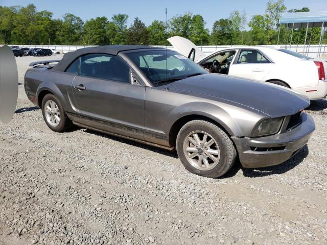 Photo 4 from auction – 2005 FORD MUSTANG with VIN 1ZVFT84N255248067