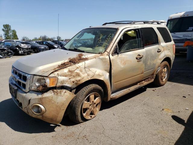 Photo 1 from auction – 2010 FORD ESCAPE XLT with VIN 1FMCU0D74AKA05180