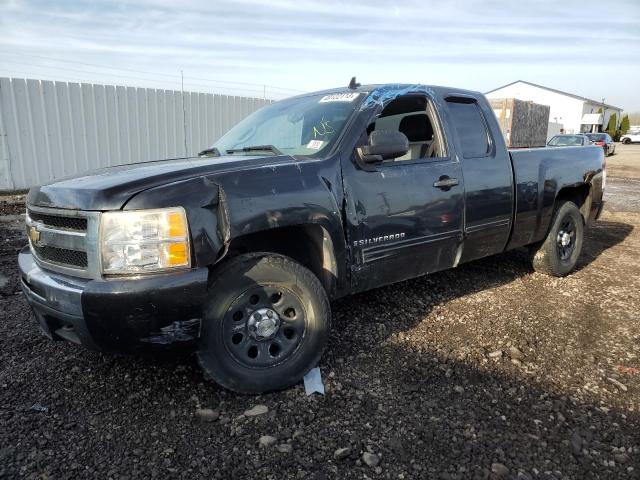 CHEVROLET SILVERADO 2009 with VIN 1GCEK19C29Z269774 - Photo from auction