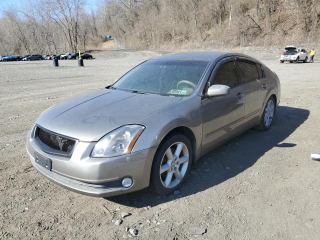 NISSAN MAXIMA 2004 with VIN 1N4BA41E34C830893 - Photo from auction