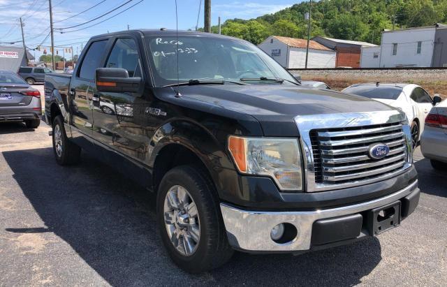 FORD F150 SUPER 2010 with VIN 1FTEW1C8XAFC49691 - Photo from auction