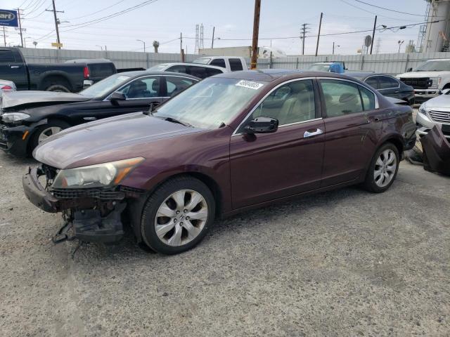 HONDA ACCORD EXL 2010 with VIN 5KBCP3F83AB013563 - Photo from auction
