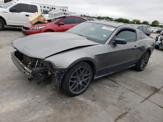 Photo 1 from auction – 2010 FORD MUSTANG with VIN 1ZVBP8AN7A5114737