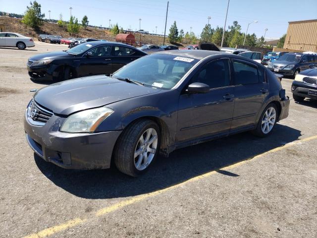 NISSAN MAXIMA SE 2008 with VIN 1N4BA41E88C805705 - Photo from auction