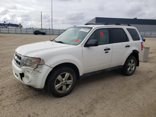 FORD ESCAPE XLT 2011 with VIN 1FMCU0DGXBKC67366 - Photo from auction