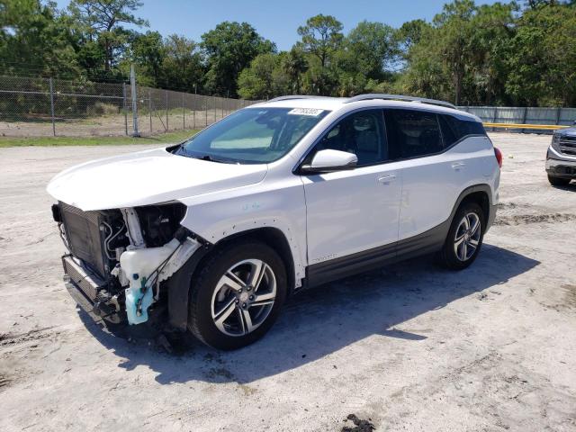GMC TERRAIN SL 2020 with VIN 3GKALVEV6LL247371 - Photo from auction
