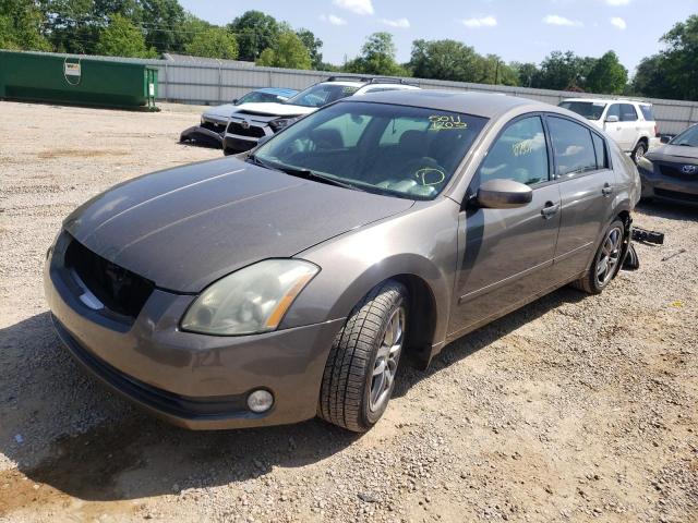 NISSAN MAXIMA SE 2004 with VIN 1N4BA41E34C860699 - Photo from auction