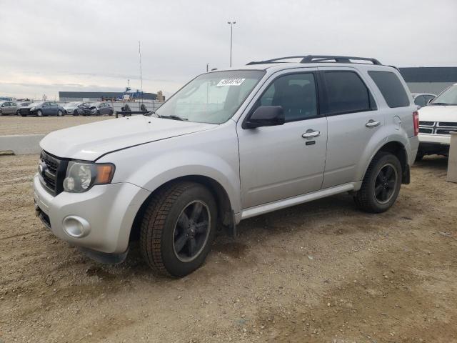 Photo 1 from auction – 2009 FORD ESCAPE XLT with VIN 1FMCU93G49KB53315