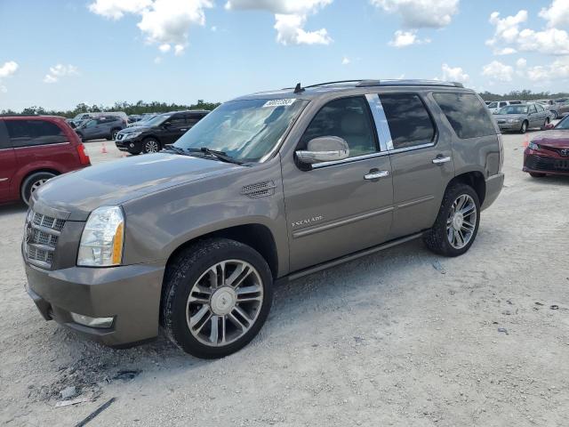 CADILLAC ESCALADE P 2013 with VIN 1GYS4CEF9DR107443 - Photo from auction