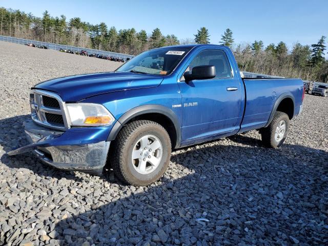 DODGE RAM 1500 2009 with VIN 1D3HV16T89J527312 - Photo from auction