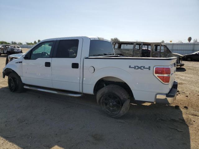 Photo 2 from auction – 2010 FORD F150 SUPER with VIN 1FTEW1E80AFB22848