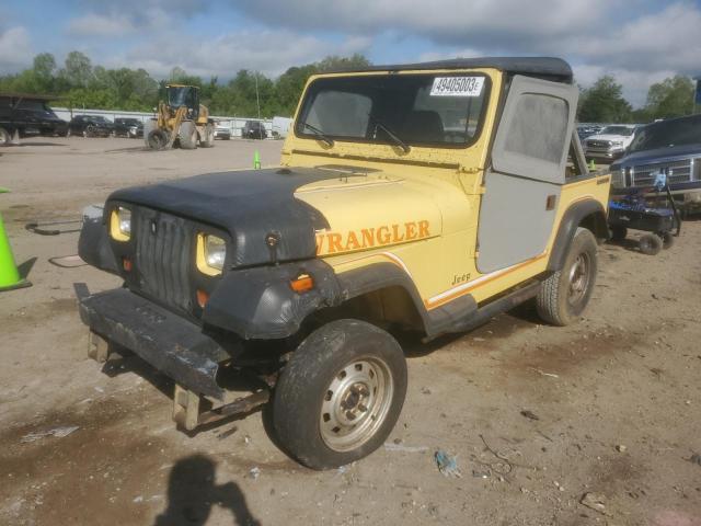 JEEP WRANGLER / 1991 with VIN 2J4FY19P7MJ101873 - Photo from auction