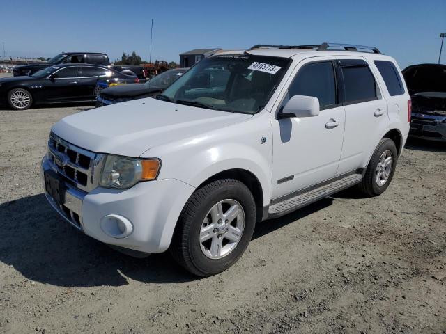 FORD ESCAPE HEV 2008 with VIN 1FMCU49HX8KB82884 - Photo from auction