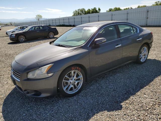 Photo 1 from auction – 2010 NISSAN MAXIMA S with VIN 1N4AA5AP9AC862035