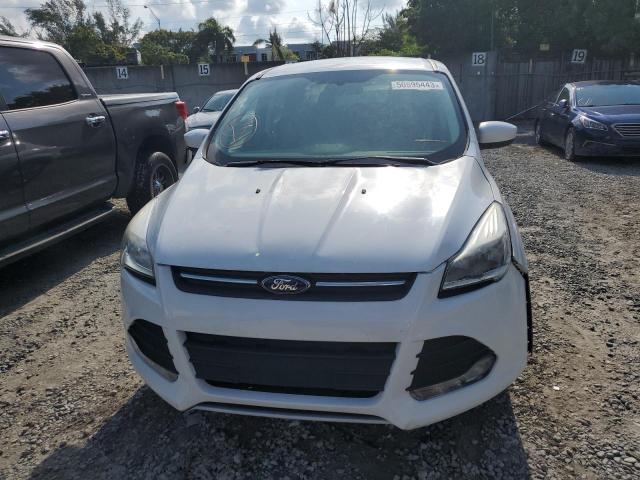 Photo 5 from auction – 2013 FORD ESCAPE SE with VIN 1FMCU0GX0DUA74081