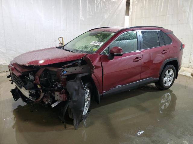 TOYOTA RAV4 XLE 2019 with VIN JTMP1RFV5KD042324 - Photo from auction