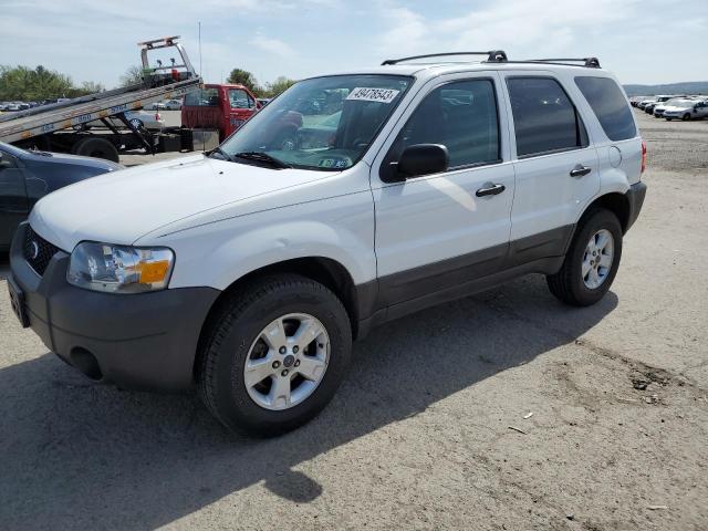 FORD ESCAPE XLT 2006 with VIN 1FMCU93196KC27044 - Photo from auction