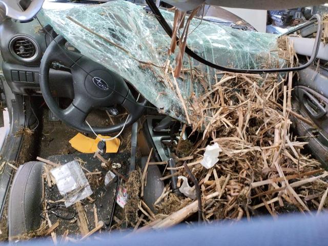 Photo 8 from auction – 2006 SUBARU IMPREZA 2. with VIN JF1GG67656H812174