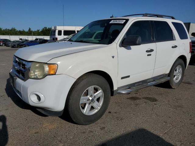 FORD ESCAPE XLT 2008 with VIN 1FMCU03148KE64362 - Photo from auction